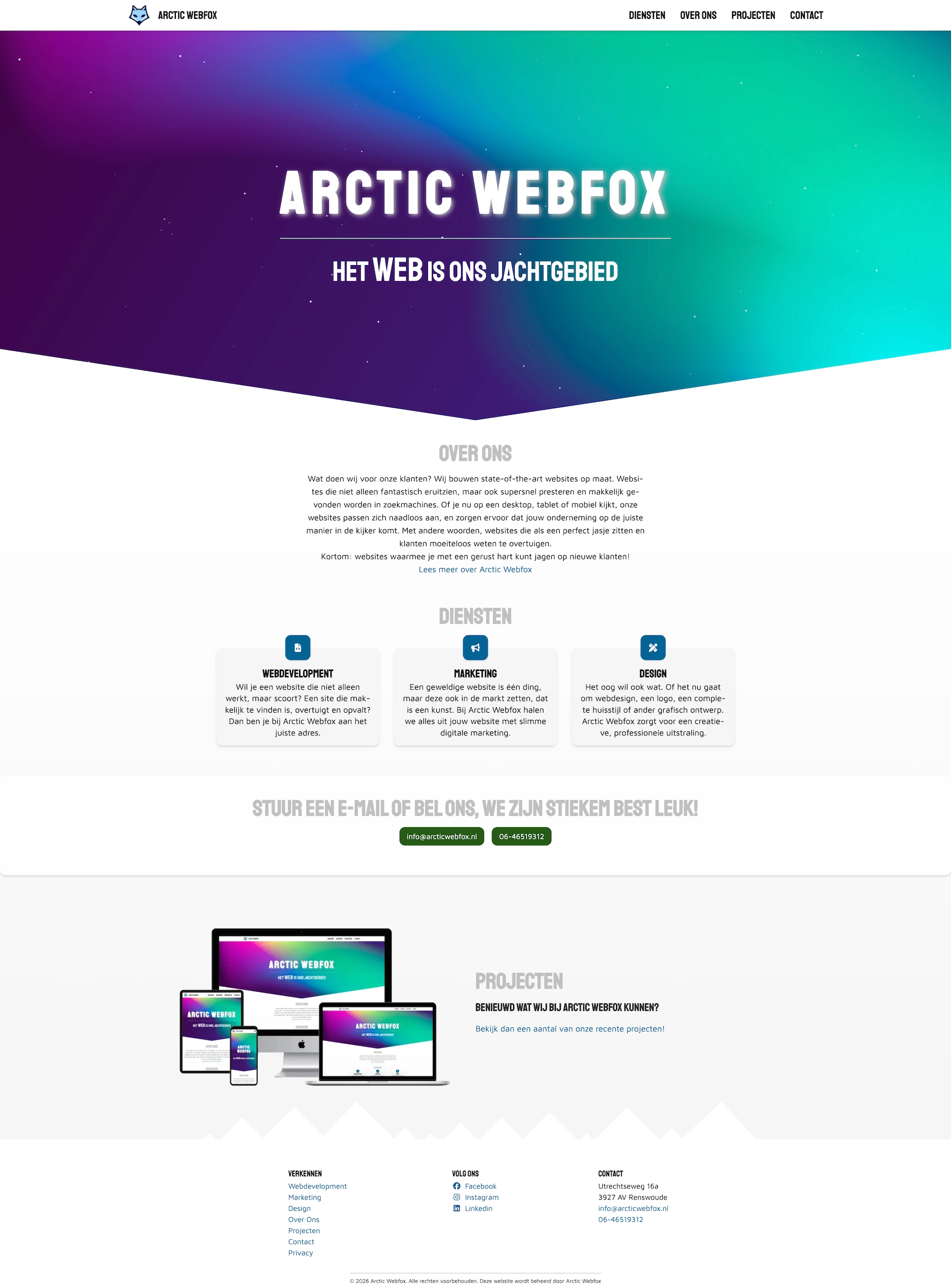 Arctic Webfox